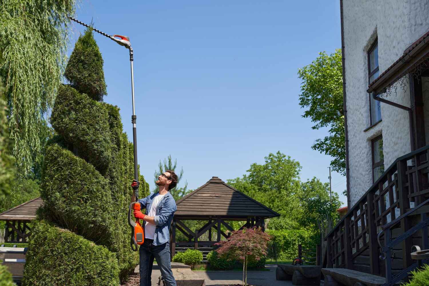 Best Tree Trimming Near Me  in Kittredge, CO